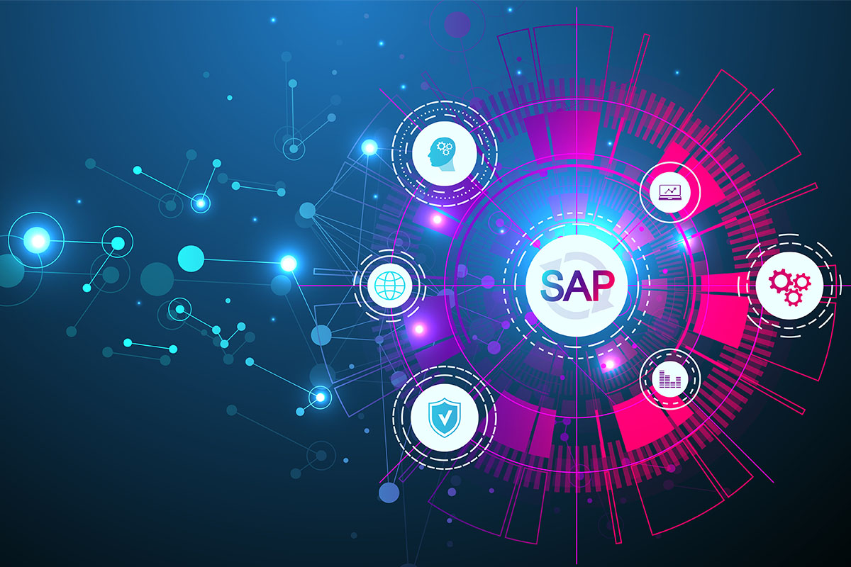 SAP ERP Temel Eğitimi